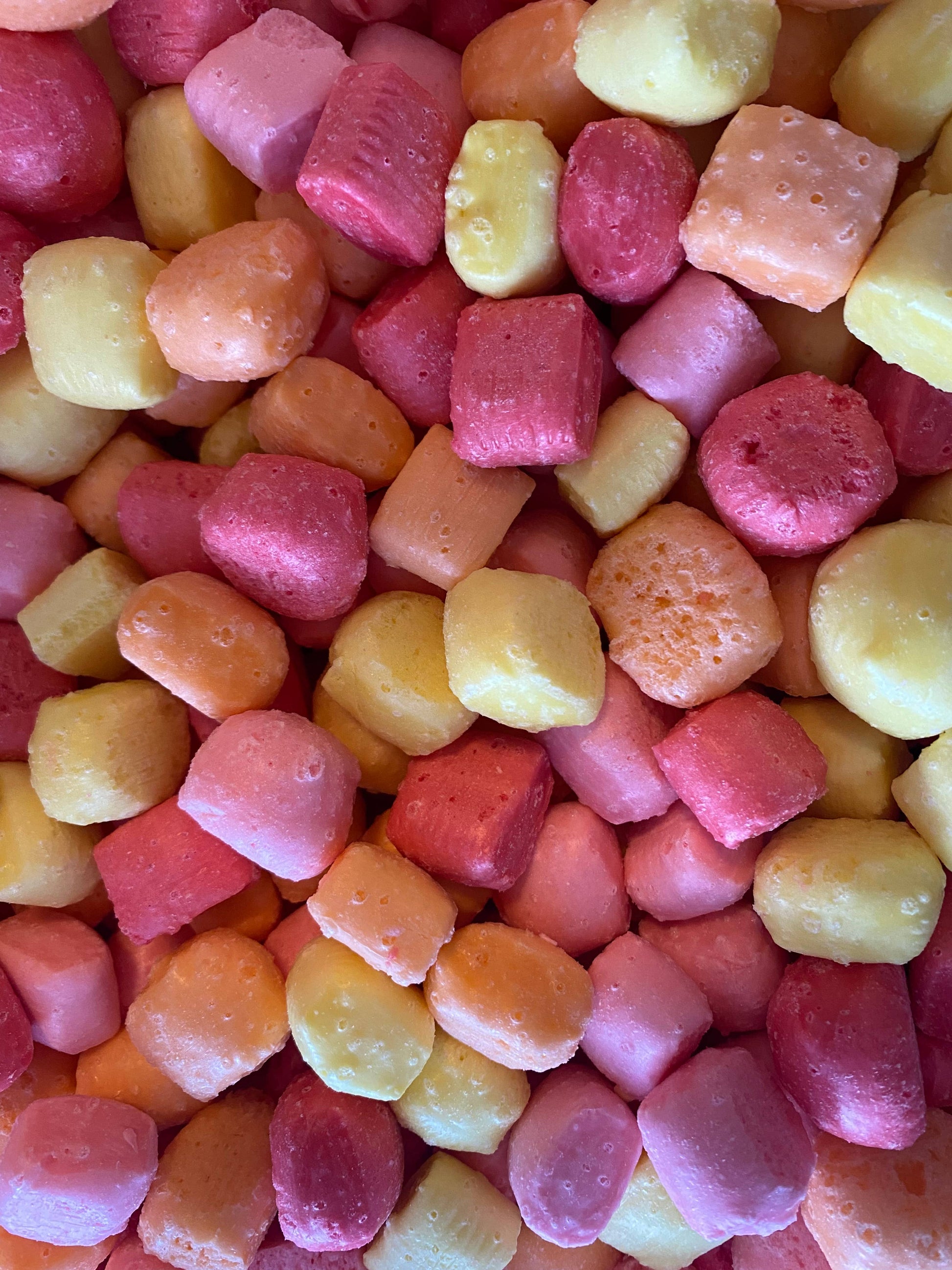 Starbursts freeze dried