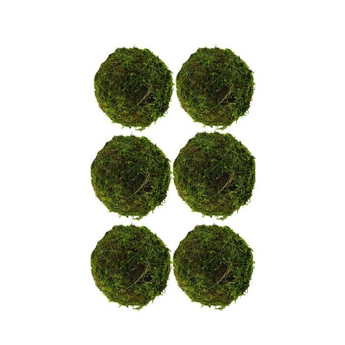 Moss Balls