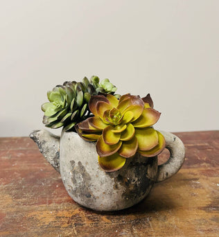 Vagabond Vintage - Cement Rustic Teapot Succulent Planter: Medium