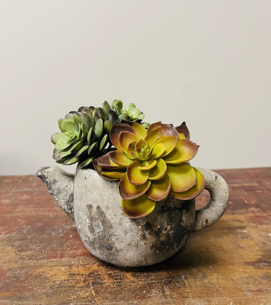 Vagabond Vintage - Cement Rustic Teapot Succulent Planter: Medium