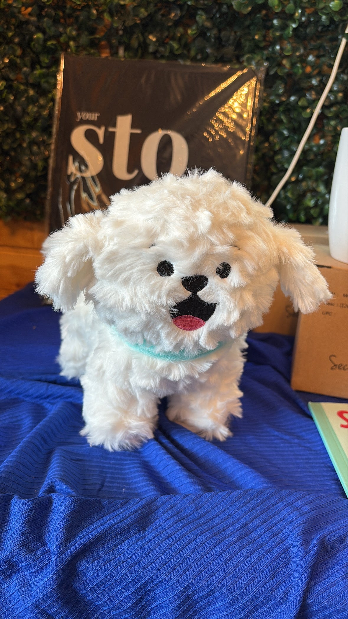 Sunny Plush