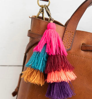 Tassle clip