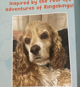 Ringobingo