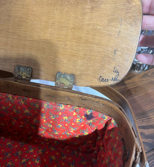 Caro Nan vintage purse