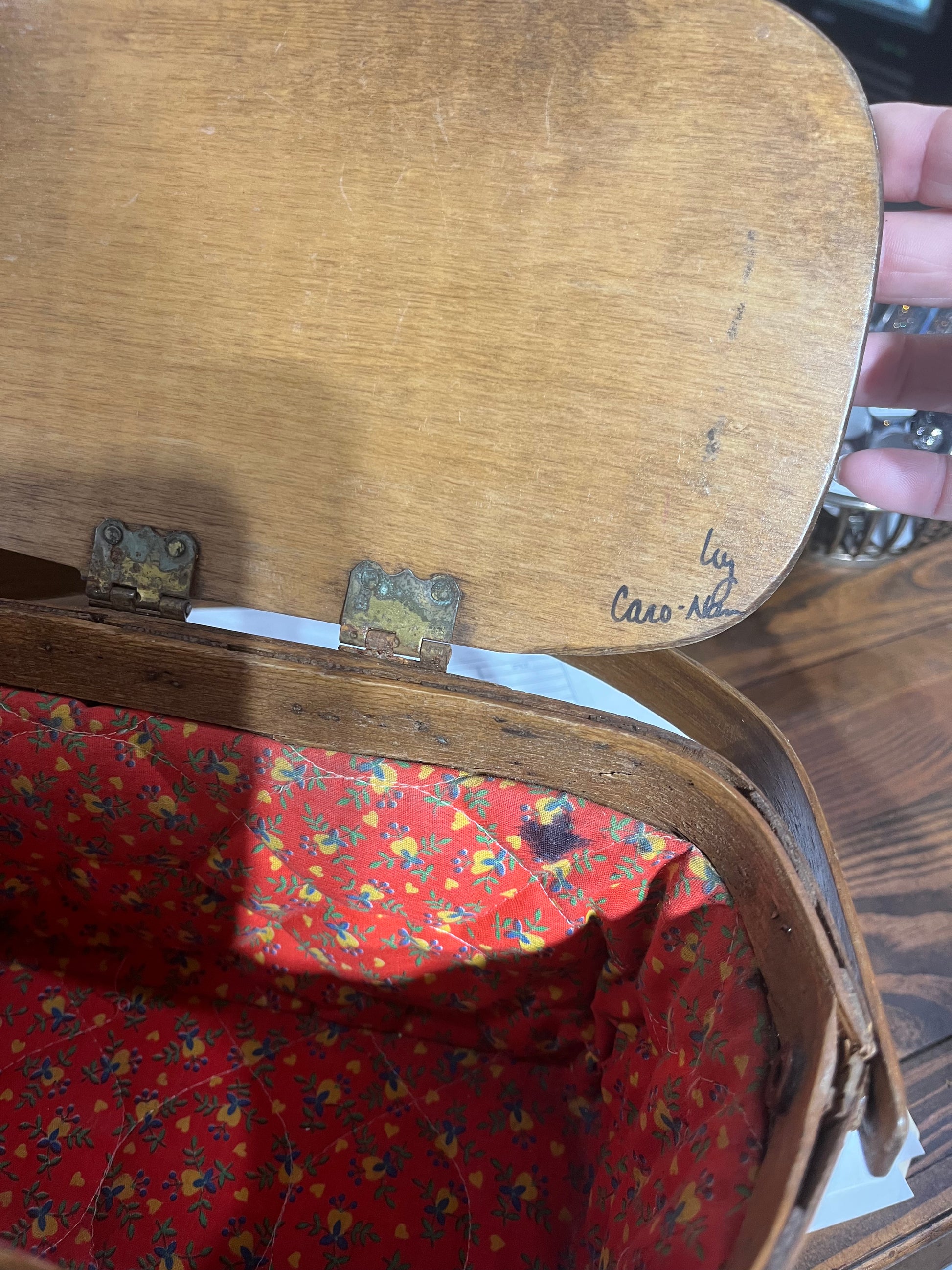 Caro Nan vintage purse