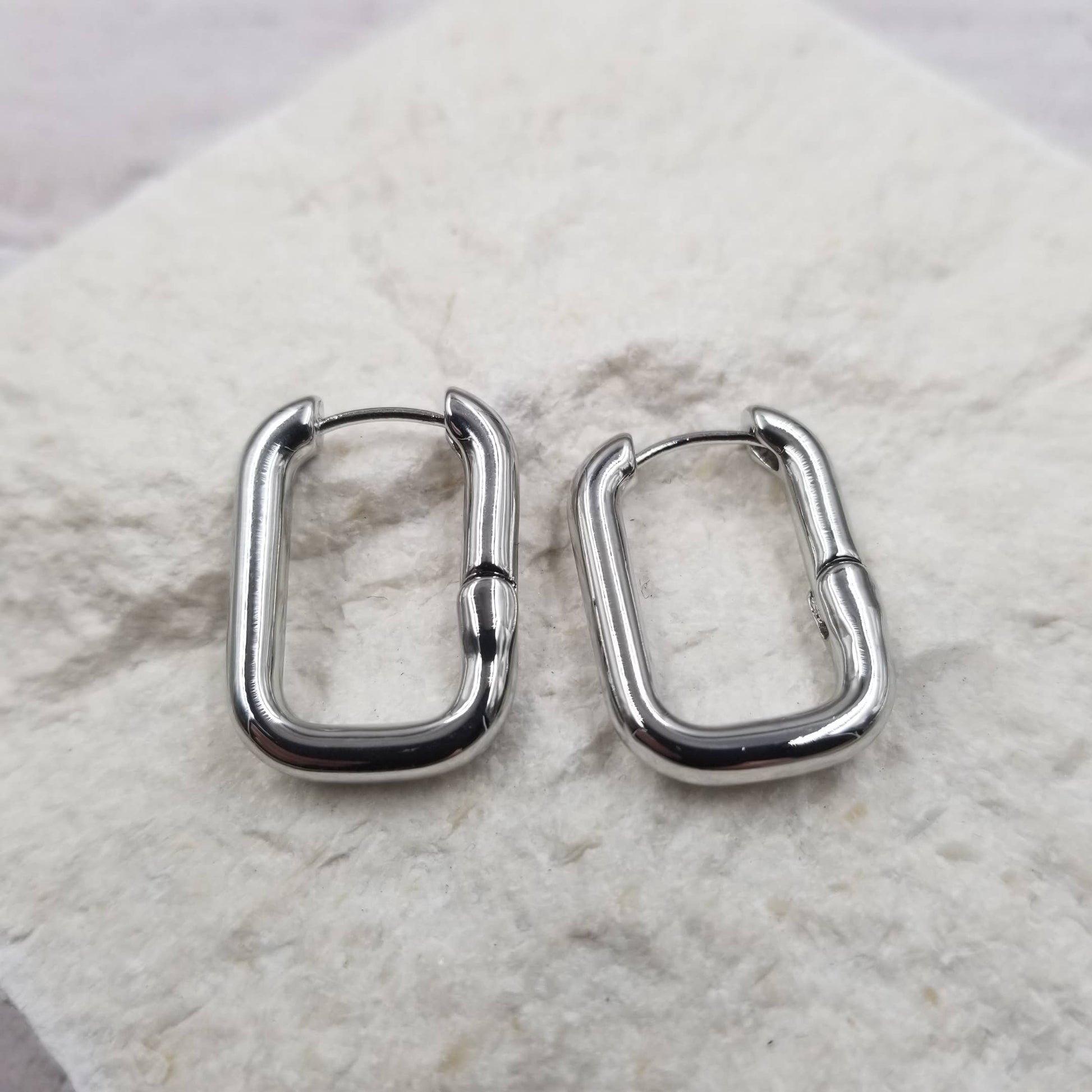 Hoop Earrings