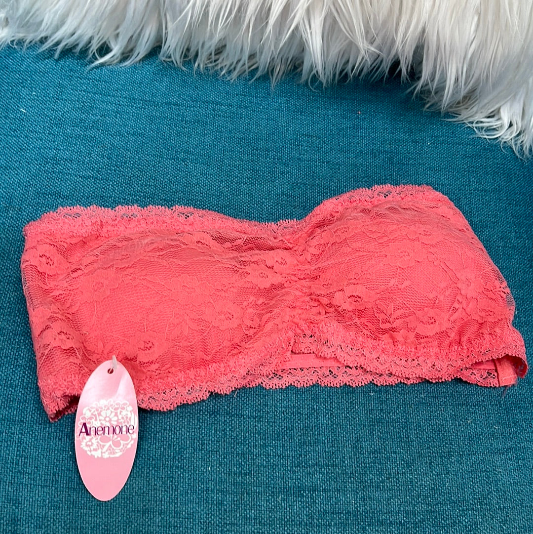 Strapless Lace Bandeau Bra